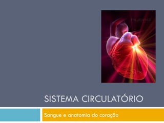 SISTEMA CIRCULATÓRIO
Sangue e anatomia do coração