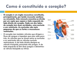 Sistema CirculatóRio (Sangue E Anatomia Do CoraçãO)