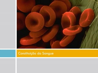 Sistema CirculatóRio (Sangue E Anatomia Do CoraçãO)
