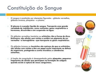 Sistema CirculatóRio (Sangue E Anatomia Do CoraçãO)