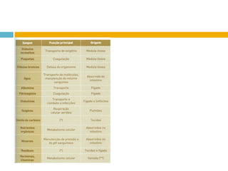 Sistema CirculatóRio (Sangue E Anatomia Do CoraçãO)