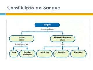 Sistema CirculatóRio (Sangue E Anatomia Do CoraçãO)