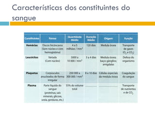 Sistema CirculatóRio (Sangue E Anatomia Do CoraçãO)