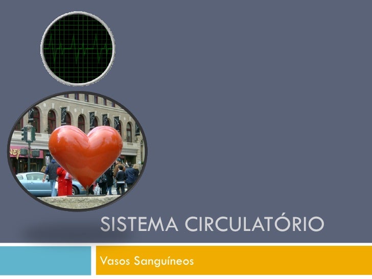 SISTEMA CIRCULATÓRIO
Vasos Sanguíneos