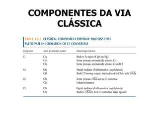 COMPONENTES DA VIA CLÁSSICA