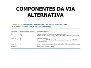 COMPONENTES DA VIA ALTERNATIVA