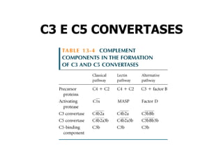 C3 E C5 CONVERTASES