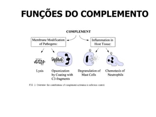 FUNÇÕES DO COMPLEMENTO