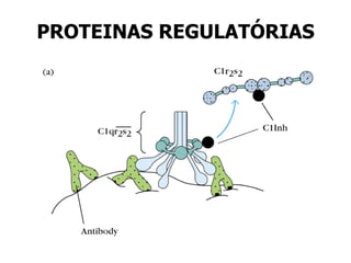 PROTEINAS REGULATÓRIAS