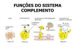 FUNÇÕES DO SISTEMA COMPLEMENTO