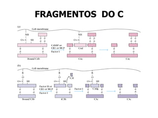 FRAGMENTOS DO C