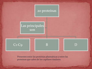 20 proteínas
C1-C9 B D
Las principales
son
Presentes entre las proteínas plasmáticas y entre las
proteínas que salen de los capilares tisulares.
 