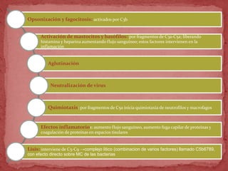 Opsonización y fagocitosis: activados por C3b
Activación de mastocitos y basófilos: por fragmentos de C3a-C5a; liberando
histamina y heparina aumentando flujo sanguíneo; estos factores intervienen en la
inflamación
Aglutinación
Neutralización de virus
Quimiotaxis: por fragmentos de C5a inicia quimiotaxia de neutrofilos y macrofagos
Efectos inflamatorios: aumento flujo sanguíneo, aumento fuga capilar de proteínas y
coagulación de proteínas en espacios tisulares
Lisis: interviene de C5-C9 →complejo litico (combinacion de varios factores) llamado C5b6789,
con efecto directo sobre MC de las bacterias
 