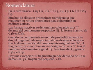  En la ruta clásica : C1q, C1r, C1s, C2 C3, C4, C5, C6, C7, C8 y
C9.
 Muchos de ellos son proenzimas (zimógenos) que
requieren su rotura proteolítica para convertirse en
enzimas activas.
 Las formas inactivas se denominan colocando una "i"
delante del componente respectivo. Ej.: la forma inactiva de
C4b es iC4b.
 Cuando un componente se escinde proteolíticamente en
dos, el fragmento de mayor tamaño se designa colocando
tras la denominación del componente original una "b"; el
fragmento de menor tamaño se designa con una "a" tras el
nombre del elemento original. Ej.: la rotura del C3 genera
C3b y el C3a.
 Hay una excepción: el fragmento grande derivado de C2 se
llama C2a, y el fragmento pequeño, C2b.
 