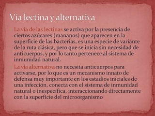  La vía de las lectinas se activa por la presencia de
ciertos azúcares (mananos) que aparecen en la
superficie de las bacterias, es una especie de variante
de la ruta clásica, pero que se inicia sin necesidad de
anticuerpos, y por lo tanto pertenece al sistema de
inmunidad natural.
 La vía alternativa no necesita anticuerpos para
activarse, por lo que es un mecanismo innato de
defensa muy importante en los estadios iniciales de
una infección, conecta con el sistema de inmunidad
natural o inespecífica, interaccionando directamente
con la superficie del microorganismo
 