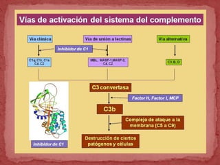 Sistema de complemento