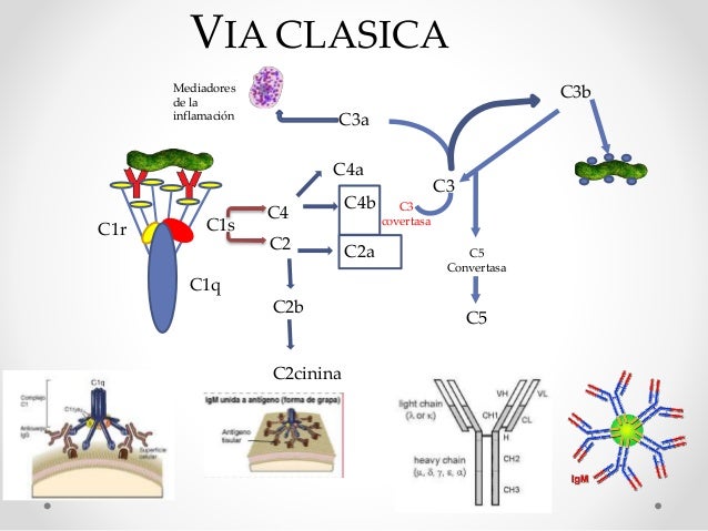 Sistema