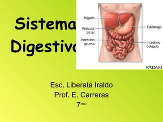Sistema Digestivo Esc. Liberata Iraldo Prof. E. Carreras 7 mo 