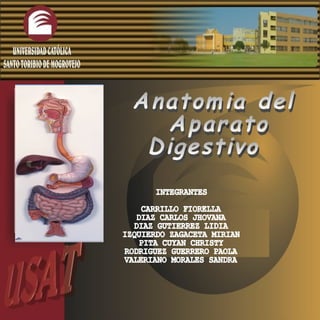 Anatomia del Aparato  Digestivo  INTEGRANTES CARRILLO FIORELLA DIAZ CARLOS JHOVANA DIAZ GUTIERREZ LIDIA IZQUIERDO ZAGACETA MIRIAN PITA CUYAN CHRISTY RODRIGUEZ GUERRERO PAOLA VALERIANO MORALES SANDRA 