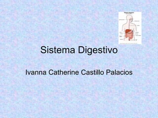 Sistema Digestivo Ivanna Catherine Castillo Palacios 