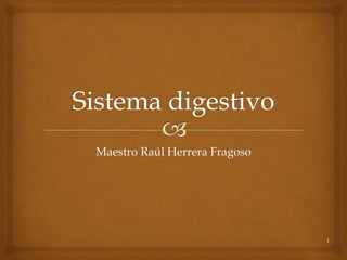1
Maestro Raúl Herrera Fragoso
 