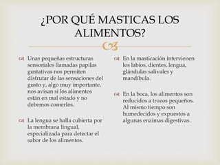 
¿POR QUÉ MASTICAS LOS
ALIMENTOS?
 Unas pequeñas estructuras
sensoriales llamadas papilas
gustativas nos permiten
disfrutar de las sensaciones del
gusto y, algo muy importante,
nos avisan si los alimentos
están en mal estado y no
debemos comerlos.
 La lengua se halla cubierta por
la membrana lingual,
especializada para detectar el
sabor de los alimentos.
 En la masticación intervienen
los labios, dientes, lengua,
glándulas salivales y
mandíbula.
 En la boca, los alimentos son
reducidos a trozos pequeños.
Al mismo tiempo son
humedecidos y expuestos a
algunas enzimas digestivas.
 
