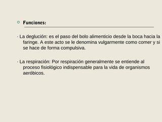  Funciones:
· La deglución: es el paso del bolo alimenticio desde la boca hacia la
faringe. A este acto se le denomina vulgarmente como comer y si
se hace de forma compulsiva.
· La respiración: Por respiración generalmente se entiende al
proceso fisiológico indispensable para la vida de organismos
aeróbicos.
 