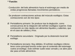* Función:
· Conducción: del bolo alimenticio hacia el estómago por medio de
ondas progresivas llamadas movimientos peristáticos.
· Se producen contracciones activas del músculo esofágico. Estas
contracciones son de tres tipos:
Ø Peristaltismo primario: Se produce tras la deglución, como
consecuencia de la relajación del esfínter esofágico superior. Esta
contracción es más rápida con alimentos líquidos y calientes, que
en el caso de sólidos y fríos.
Ø Peristaltismo secundario: Originado por la distensión local del
esófago.
Ø Peristaltismo terciario: Muy débiles. El esfínter esofágico inferior,
tiene como principal función evitar que el contenido del estomago
vuelva al esófago. Este esfínter suele estar cerrado y se abre para
dar paso al bolo alimenticio.
 