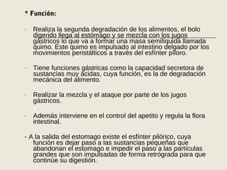 * Función:
- Realiza la segunda degradación de los alimentos, el bolo
digerido llega al estómago y se mezcla con los jugos
gástricos lo que va a formar una masa semilíquida llamada
quimo. Este quimo es impulsado al intestino delgado por los
movimientos peristálticos a través del esfínter píloro.
- Tiene funciones gástricas como la capacidad secretora de
sustancias muy ácidas, cuya función, es la de degradación
mecánica del alimento.
- Realizar la mezcla y el ataque por parte de los jugos
gástricos.
- Además interviene en el control del apetito y regula la flora
intestinal.
- A la salida del estomago existe el esfínter pilórico, cuya
función es dejar paso a las sustancias pequeñas que
abandonan el estomago e impedir el paso a las partículas
grandes que son impulsadas de forma retrógrada para que
continúe su digestión.
 