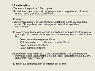 * Características:
- Tiene una longitud de 1.5 m. aprox.
- Se divide en tres partes: el ciego (se une al i. delgado), el colon (se
une al recto) y el recto (parte final).
· El ciego:
Es la primera parte y se une al intestino delgado por la válvula íleco-
cecal. El ciego lleva una prolongación lateral, el apéndice
vermiforme.
· El colon: Comprende una porción ascendente, una porción transversal
y una porción descendente que termina en el recto y son distribuidos
en:
 Colon ascendente q mide 15cm.
 Colon transverso q mide en promedio 50cm.
 Colon descendente 25cm.
 Colon sigmoides 40cm.
En promedio debe medir 150 o 180 dependiendo d la contextura del
individuo Tiene un diámetro 5 a 6 cm. en el lado derecho4 a 4.5 cm.
d diámetro en el izquierdo
· El recto: Se comunica con el exterior por el ano.
 