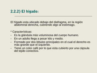 2.2.2) El hígado:
El hígado esta ubicado debajo del diafragma, en la región
abdominal derecha, cubriendo algo al estómago.
* Características:
- Es la glándula más voluminosa del cuerpo humano.
- En un adulto llega a pesar kilo y medio.
- Formado por dos lóbulos principales en el cual el derecho es
más grande que el izquierdo.
- Tiene un color café por lo que esta cubierto por una cápsula
del tejido conectivo.
 