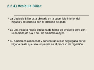 2.2.4) Vesícula Biliar:
* La Vesícula Biliar esta ubicada en la superficie inferior del
hígado y se conecta con el intestino delgado.
* Es una víscera hueca pequeña de forma de ovoide o pera con
un tamaño de 5 a 7 cm. de diámetro mayor.
* Su función es almacenar y concentrar la bilis segregada por el
hígado hasta que sea requerida en el proceso de digestión.
 