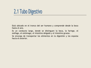 Está ubicado en el tronco del ser humano y comprende desde la boca
hasta el ano.
Es un conducto largo, donde se distinguen la boca, la faringe, el
esófago, el estómago, el intestino delgado y el intestino grueso.
Se encarga de transportar los alimentos en la digestión y los expulsa
hacia el exterior.
 