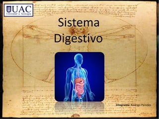 Integrante: Rodrigo Paredes
Sistema
Digestivo
 