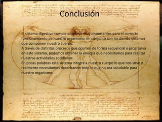 Conclusión
El sistema digestivo cumple objetivos muy importantes para el correcto
funcionamiento de nuestro organismo, en conjunto con los demás sistemas
que componen nuestro cuerpo.
A través de distintos procesos que ocurren de forma secuencial y progresiva
en este sistema, podemos obtener la energía que necesitamos para realizar
nuestras actividades cotidianas.
En pocas palabras este sistema integra a nuestro cuerpo lo que nos sirve y
realmente necesitamos desechando todo lo que no sea saludable para
nuestro organismo.
 