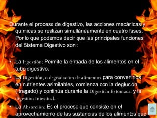 Durante el proceso de digestivo, las acciones mecánicas y químicas se realizan simultáneamente en cuatro fases. Por lo que podemos decir que las principales funciones del Sistema Digestivo son : La  Ingestión:  Permite la entrada de los alimentos en el tubo digestivo. La  Digestión, o degradación de alimentos  para convertirlos en nutrientes asimilables, comienza con la deglución ( tragado) y continúa durante la  Digestión Estomacal  y la  digestión Intestinal . La  Absorción:  Es el proceso que consiste en el aprovechamiento de las sustancias de los alimentos que pasan a la sangra a través del tubo digestivo. Durante la  Defecación  se expulsa del cuerpo las sustancias que no tienen utilidad para el cuerpo. 