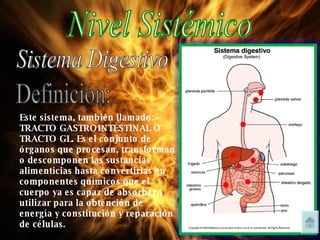 Nivel Sistémico Sistema Digestivo Este sistema, también llamado: TRACTO GASTROINTESTINAL O TRACTO GL. Es el conjunto de órganos que procesan, transforman o descomponen las sustancias alimenticias hasta convertirlas en componentes químicos que el cuerpo ya es capaz de absorber y utilizar para la obtención de energía y constitución y reparación de células. Definición: 