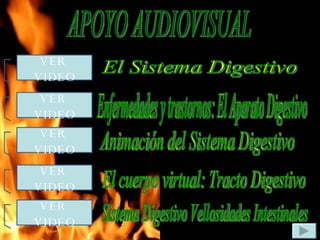 APOYO AUDIOVISUAL VER  VIDEO VER  VIDEO VER  VIDEO VER  VIDEO El Sistema Digestivo Enfermedades y trastornos: El Aparato Digestivo Animación del Sistema Digestivo El cuerpo virtual: Tracto Digestivo Sistema Digestivo Vellosidades Intestinales VER  VIDEO 