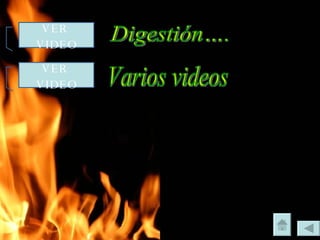 VER  VIDEO VER  VIDEO Digestión…. Varios videos 