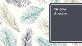 Sistema
digestivo
 