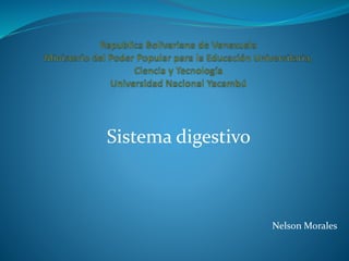 Sistema digestivo
Nelson Morales
 