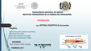 DOCENTE:
Ing. Vicente Villar Zarate
2.3.1 SISTEMADIGESTIVOde los insectos
FEBRERO 2017
ENTOMOLOGÍA
 