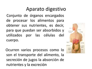 Aparato digestivo
Conjunto de órganos encargados
de procesar los alimentos para
obtener sus nutrientes, es decir,
para que puedan ser absorbidos y
utilizados por las células del
cuerpo.
Ocurren varios procesos como lo
son el transporte del alimento, la
secreción de jugos la absorción de
nutrientes y la excreción
 