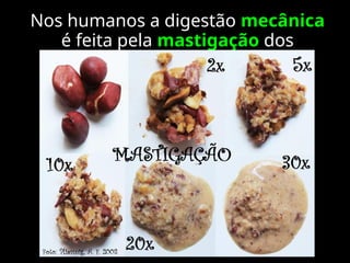 Nos humanos a digestão mecânica
é feita pela mastigação dos
alimentos.
 