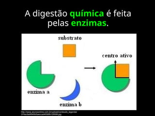A digestão química é feita
pelas enzimas.
http://www.alunosonline.com.br/upload/conteudo_legenda/
374ac9a9f945b5aeccad4556fb129599.jpg
 