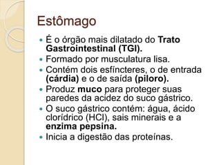 Estômago
 É o órgão mais dilatado do Trato
Gastrointestinal (TGI).
 Formado por musculatura lisa.
 Contém dois esfíncteres, o de entrada
(cárdia) e o de saída (piloro).
 Produz muco para proteger suas
paredes da acidez do suco gástrico.
 O suco gástrico contém: água, ácido
clorídrico (HCl), sais minerais e a
enzima pepsina.
 Inicia a digestão das proteínas.
 