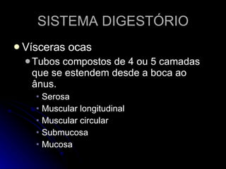 SISTEMA DIGESTÓRIO Vísceras ocas Tubos compostos de 4 ou 5 camadas que se estendem desde a boca ao ânus. Serosa Muscular longitudinal Muscular circular Submucosa Mucosa 