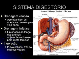 SISTEMA DIGESTÓRIO Drenagem venosa Acompanham as artérias e drenam para veia porta Drenagem linfática Linfonodos ao longo das artérias adjacentes e drenam para ducto torácico Inervação Plexo celíaco, frênico e ramos vagais 
