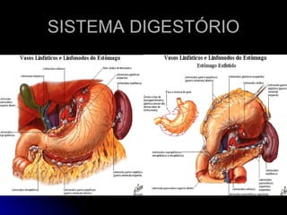 SISTEMA DIGESTÓRIO 
