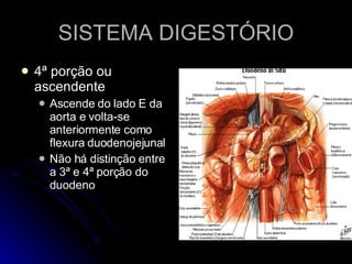 SISTEMA DIGESTÓRIO 4ª porção ou ascendente Ascende do lado E da aorta e volta-se anteriormente como flexura duodenojejunal Não há distinção entre a 3ª e 4ª porção do duodeno 